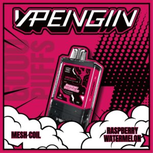 VAPENGIN JUPITER 6000 PUFFS POD